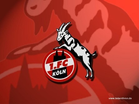 fc-logo.jpg (24.91 Kb)